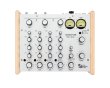Photo1: ARS MODEL 9100BW Silver  limited edition  